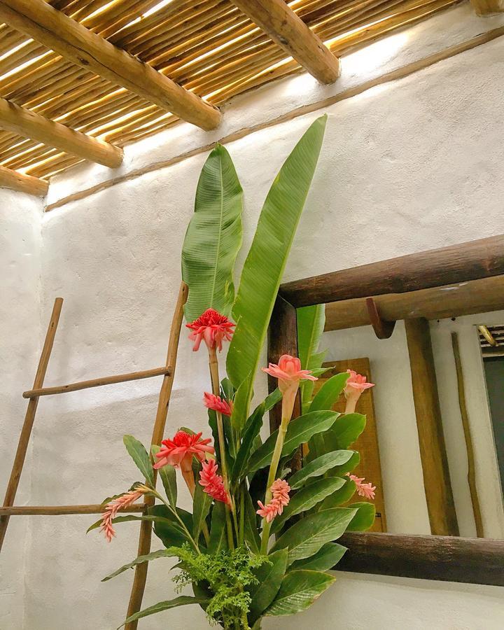 Vivertrancoso Hotel Eksteriør billede